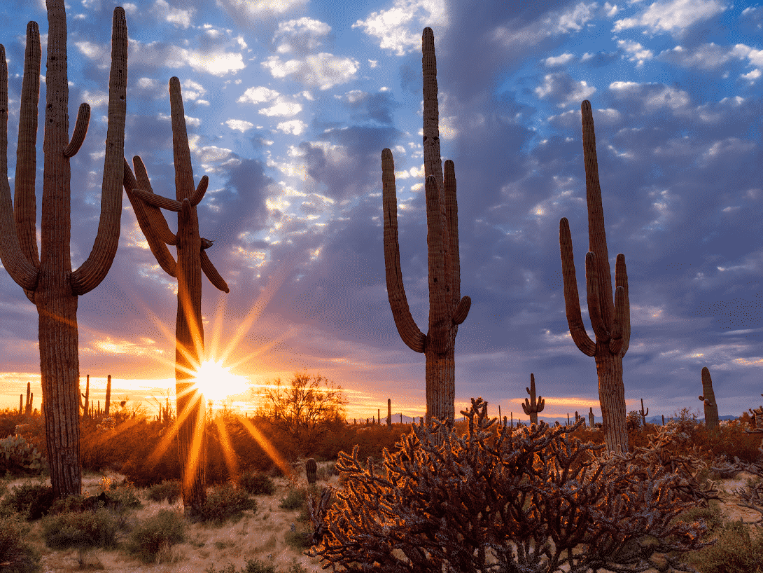 Image of Arizona Sunset